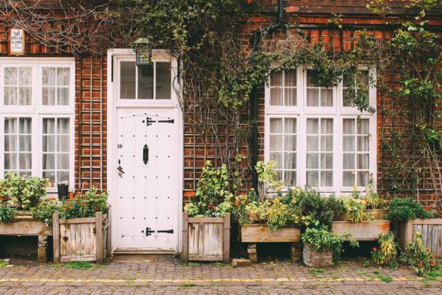 house, home, door, sidewalk, cobblestone, bricks, vines, plants, brown home, brown house, brown plant, brown door, nature, brown plants